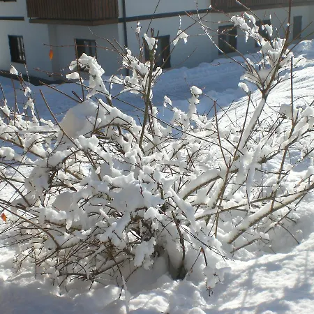 Hotel Ines