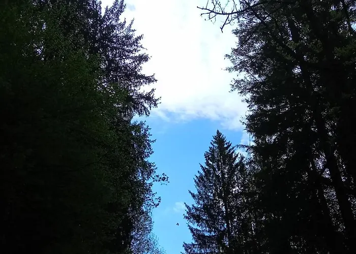 Ξενοδοχείο Ines 3*