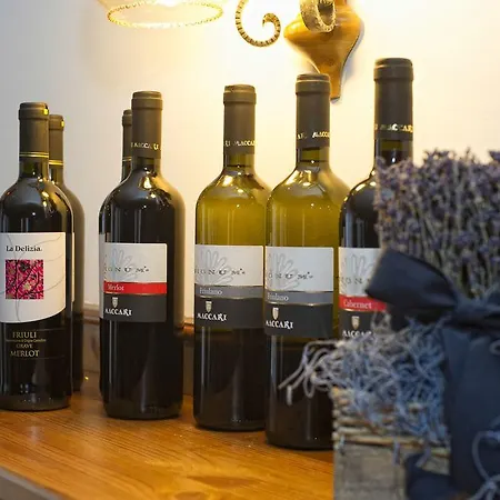 伊内斯别墅酒店