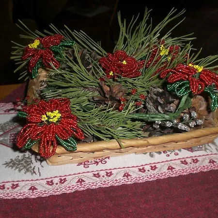 伊内斯别墅酒店 酒店