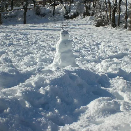 酒店 伊内斯别墅酒店